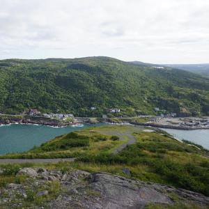 /img/pictures/2017-08-newfoundland/DSC00356.JPG