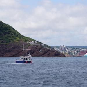 /img/pictures/2017-08-newfoundland/DSC00455.JPG