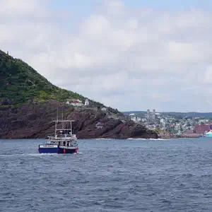 Newfoundland