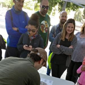 Orienteering
