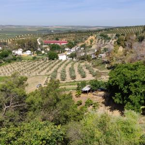 Spanish Roadtrip