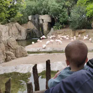 Bioparc