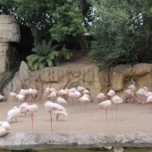 Bioparc