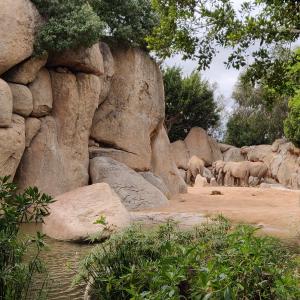 Bioparc