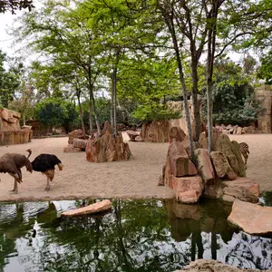 Bioparc